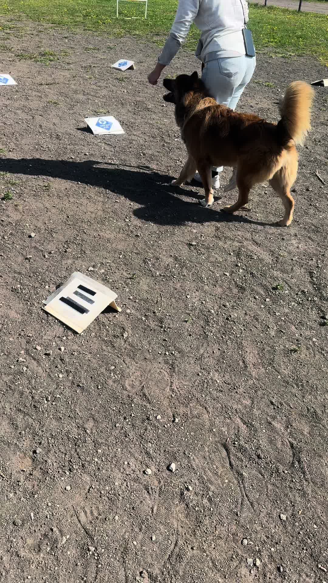@My funny dog 🐶