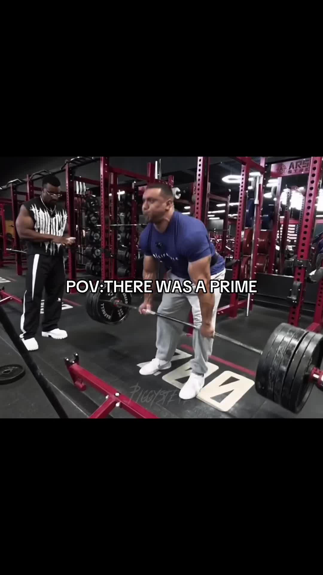 @piggysteve