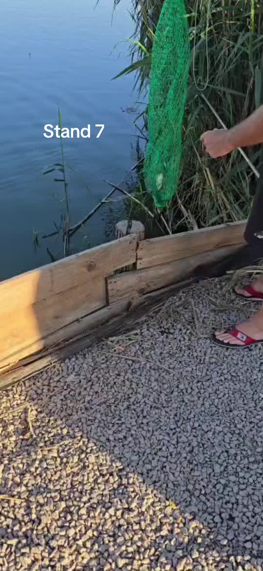 @Balta Turcoaia