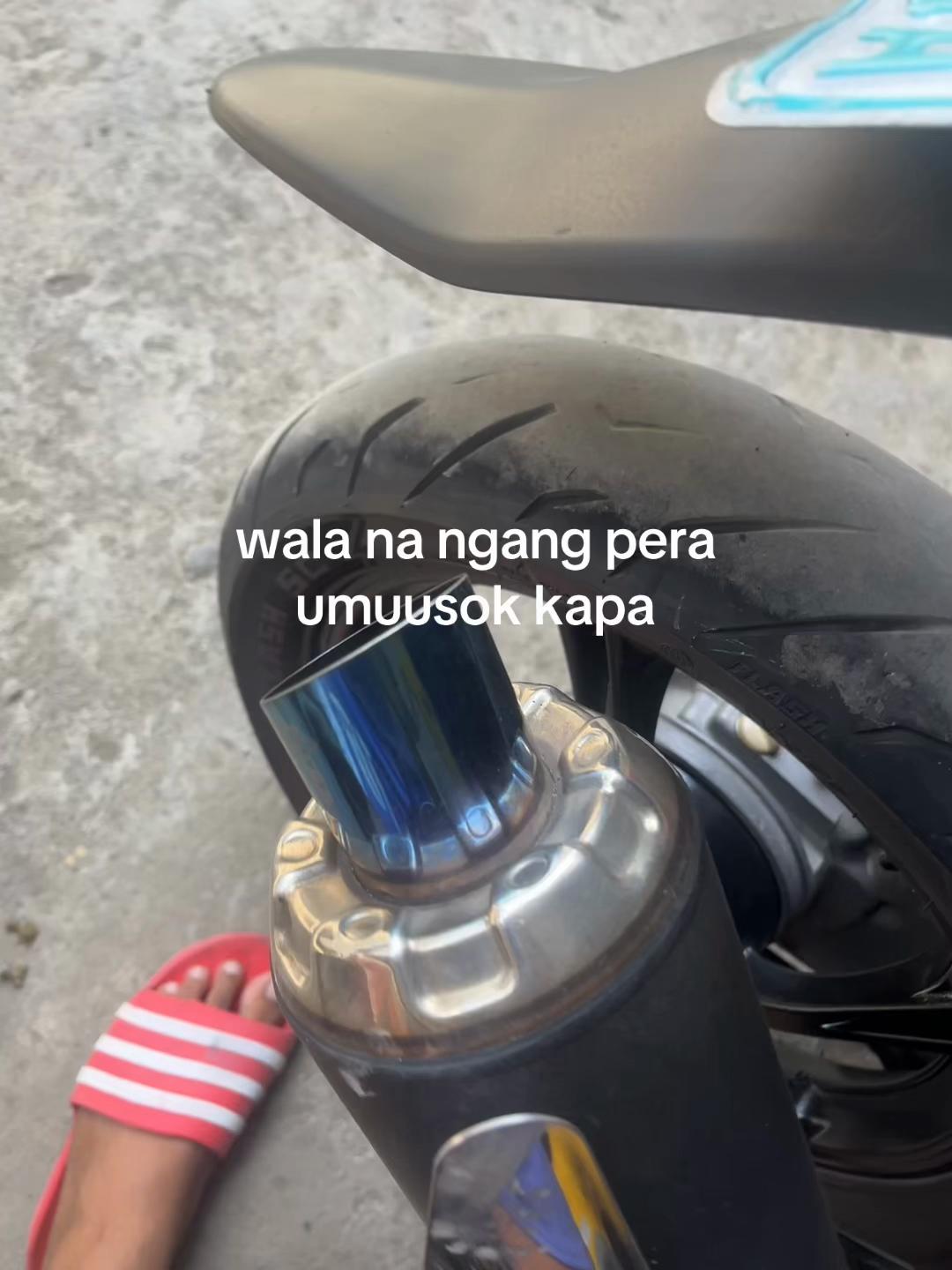 @PALYADONGGEN1