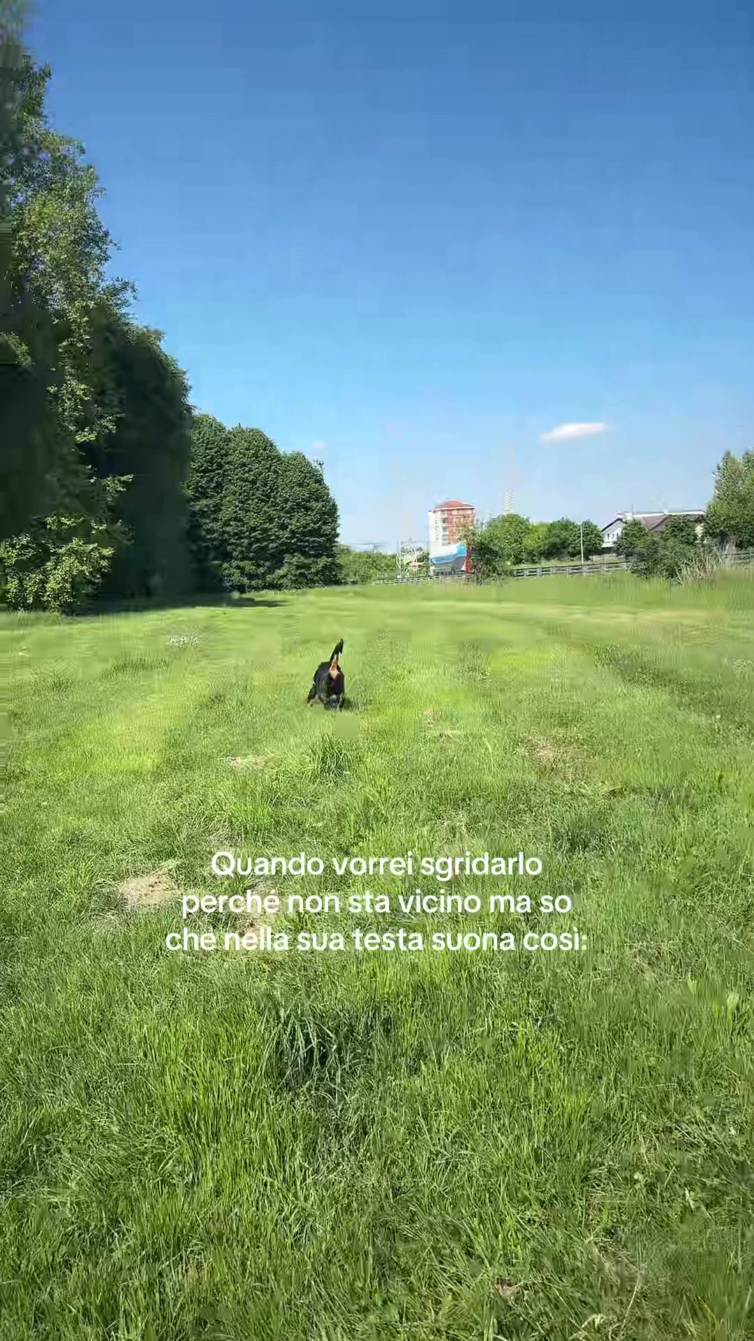 @Arianna Rinaldi