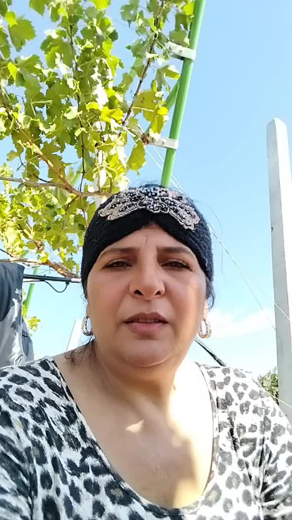 @Elena Codreanu700