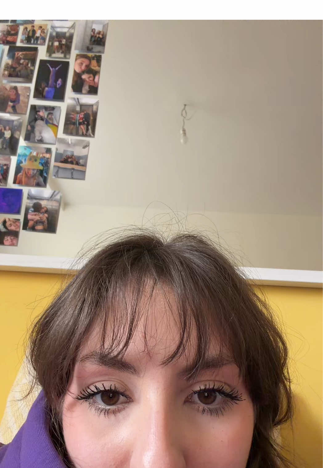 @ele