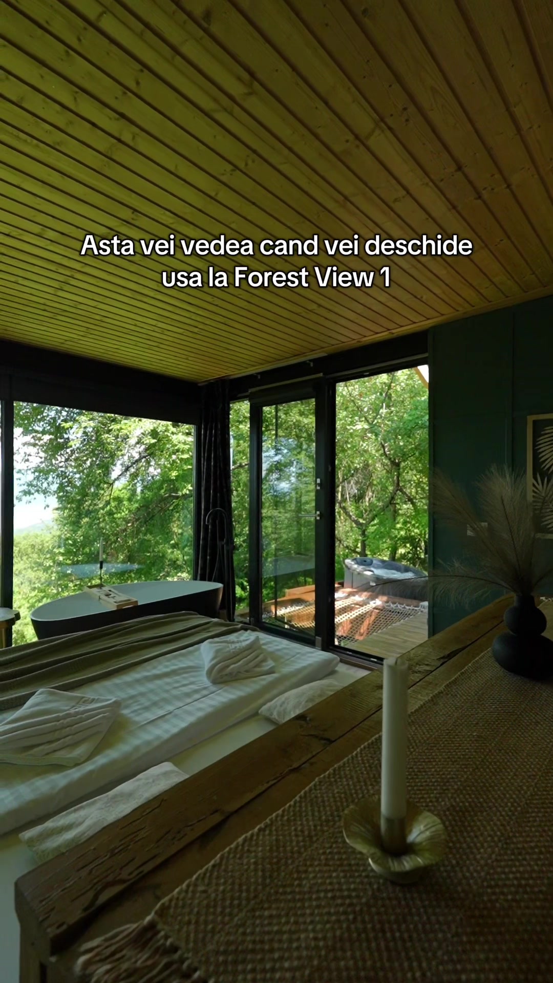 @Forest View Valcea