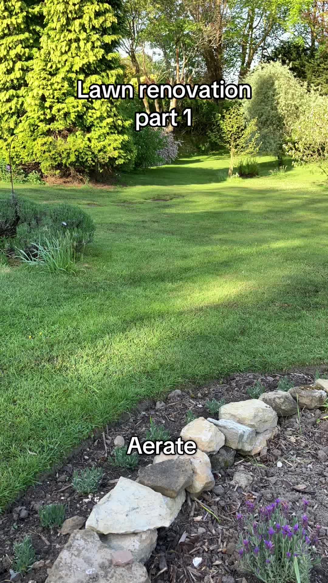 @All The Small Plants