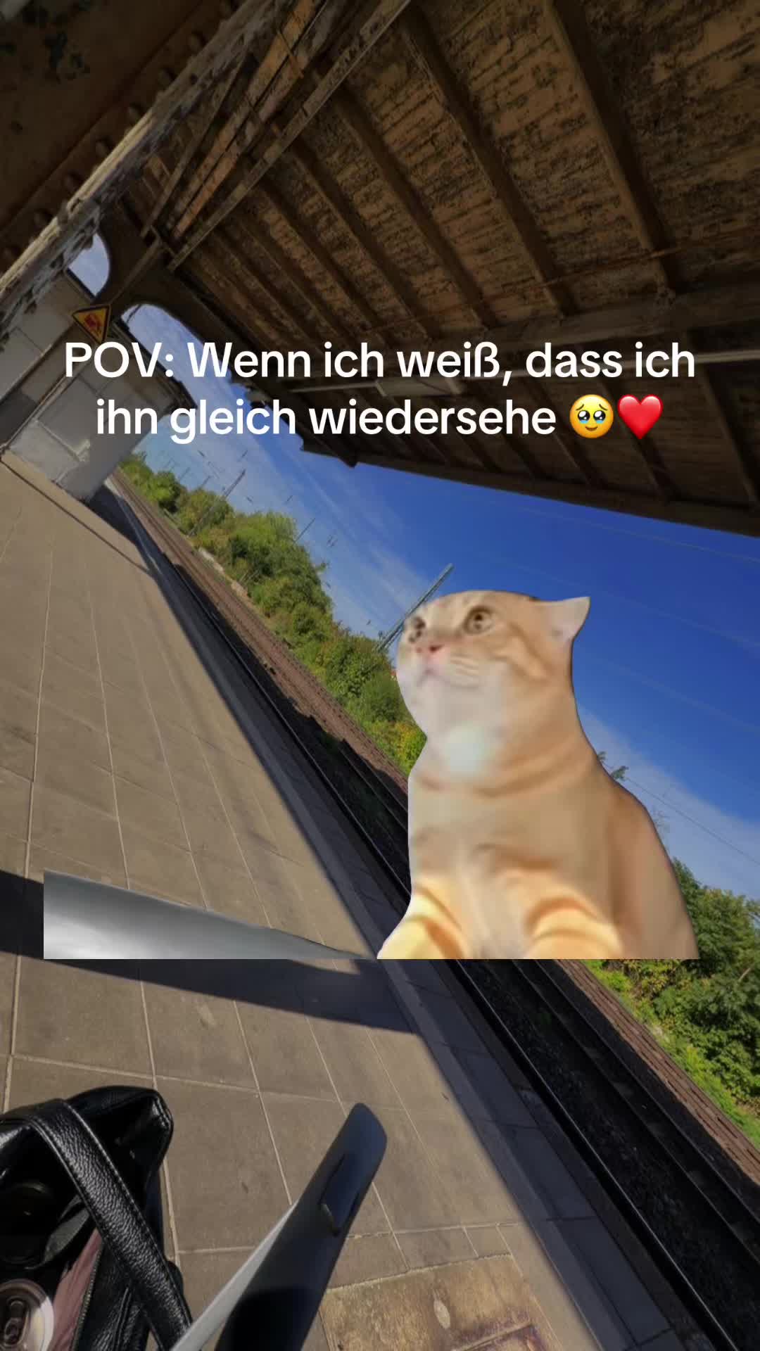@Angie Schmidt🖤
