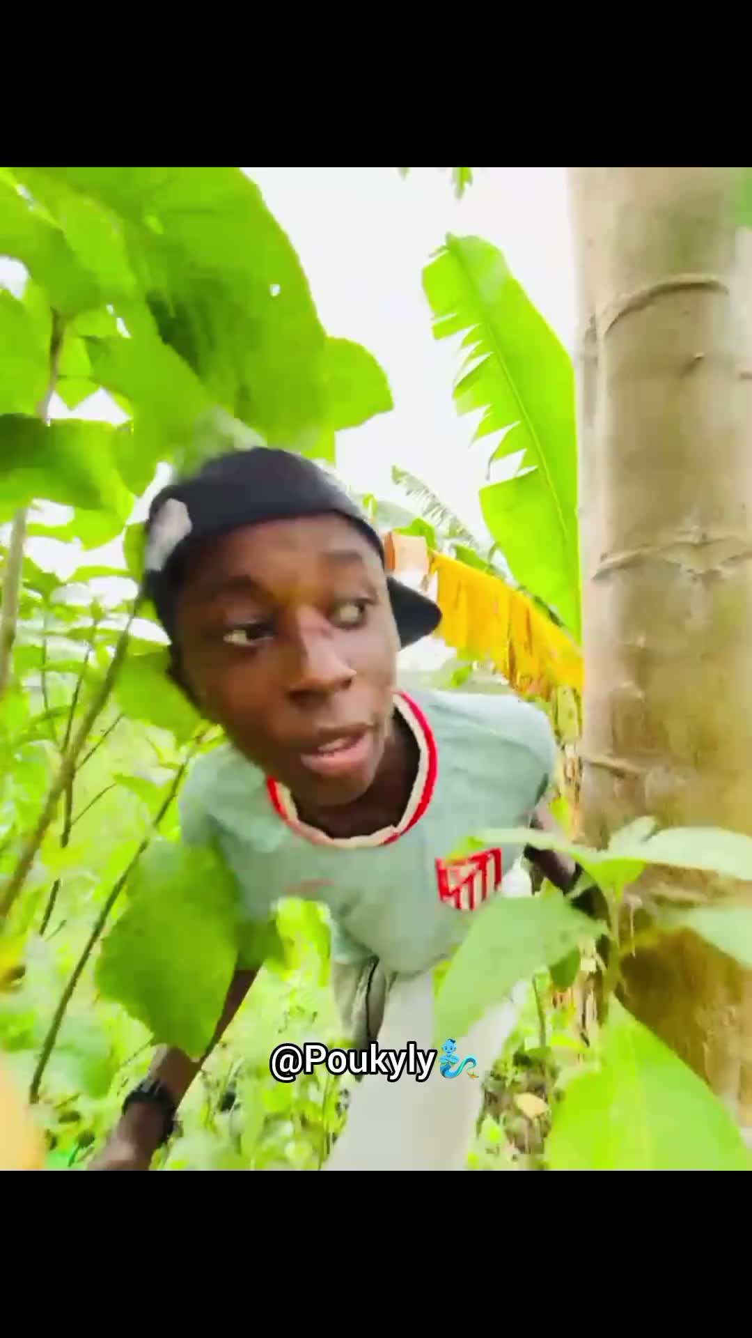 @NANA PLANT🏝️
