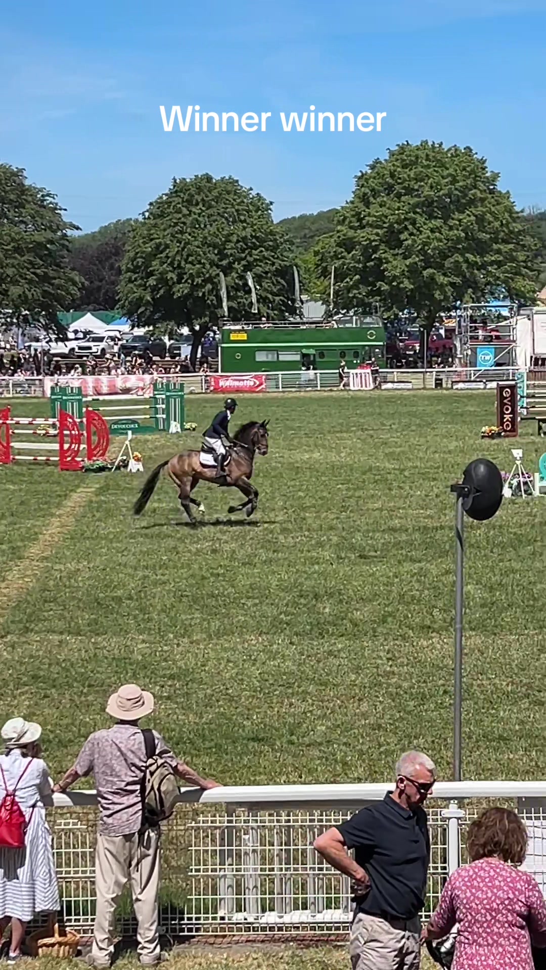@markedwardsshowjumping