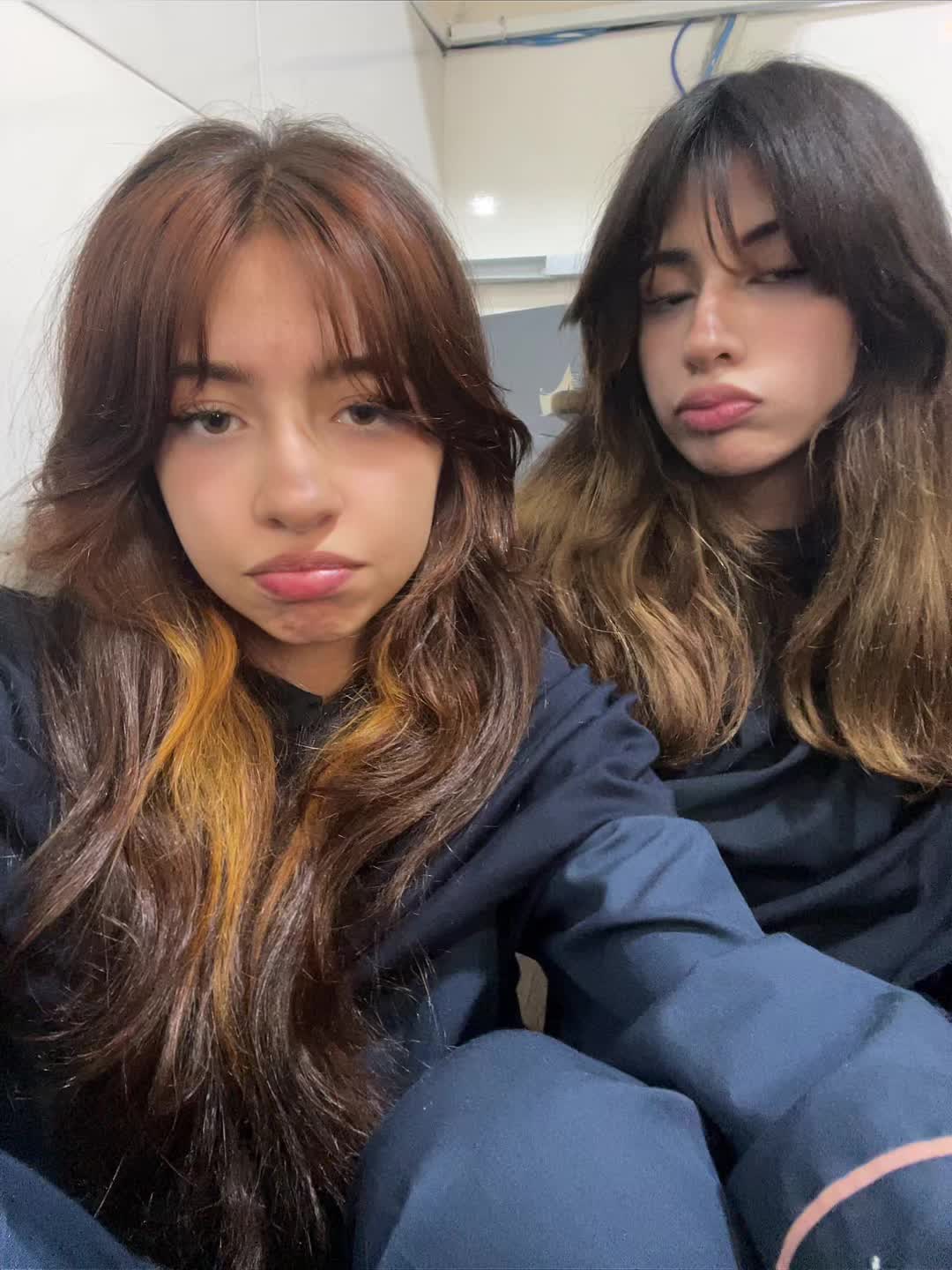 @aylar