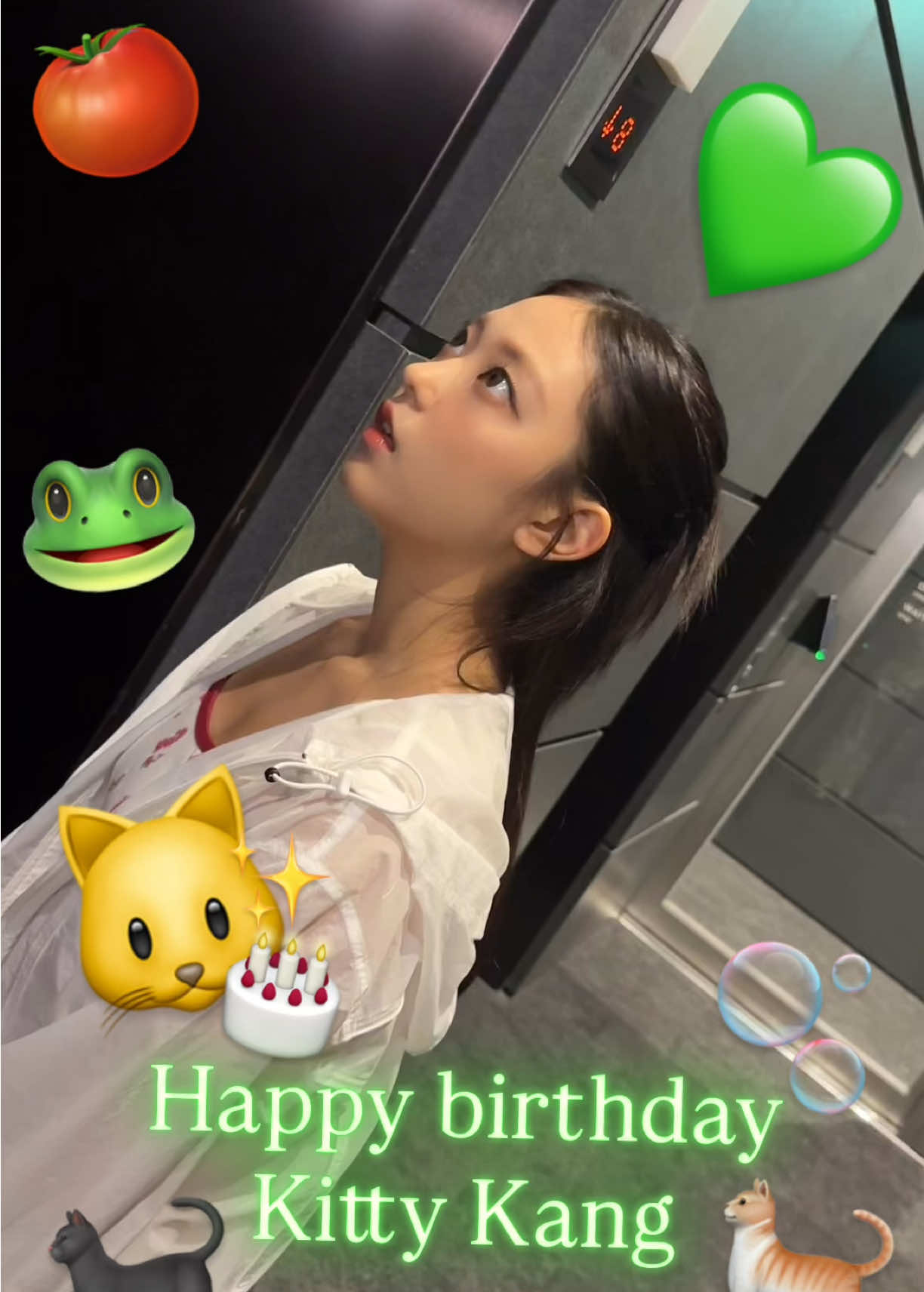 @Dinonies 🦖