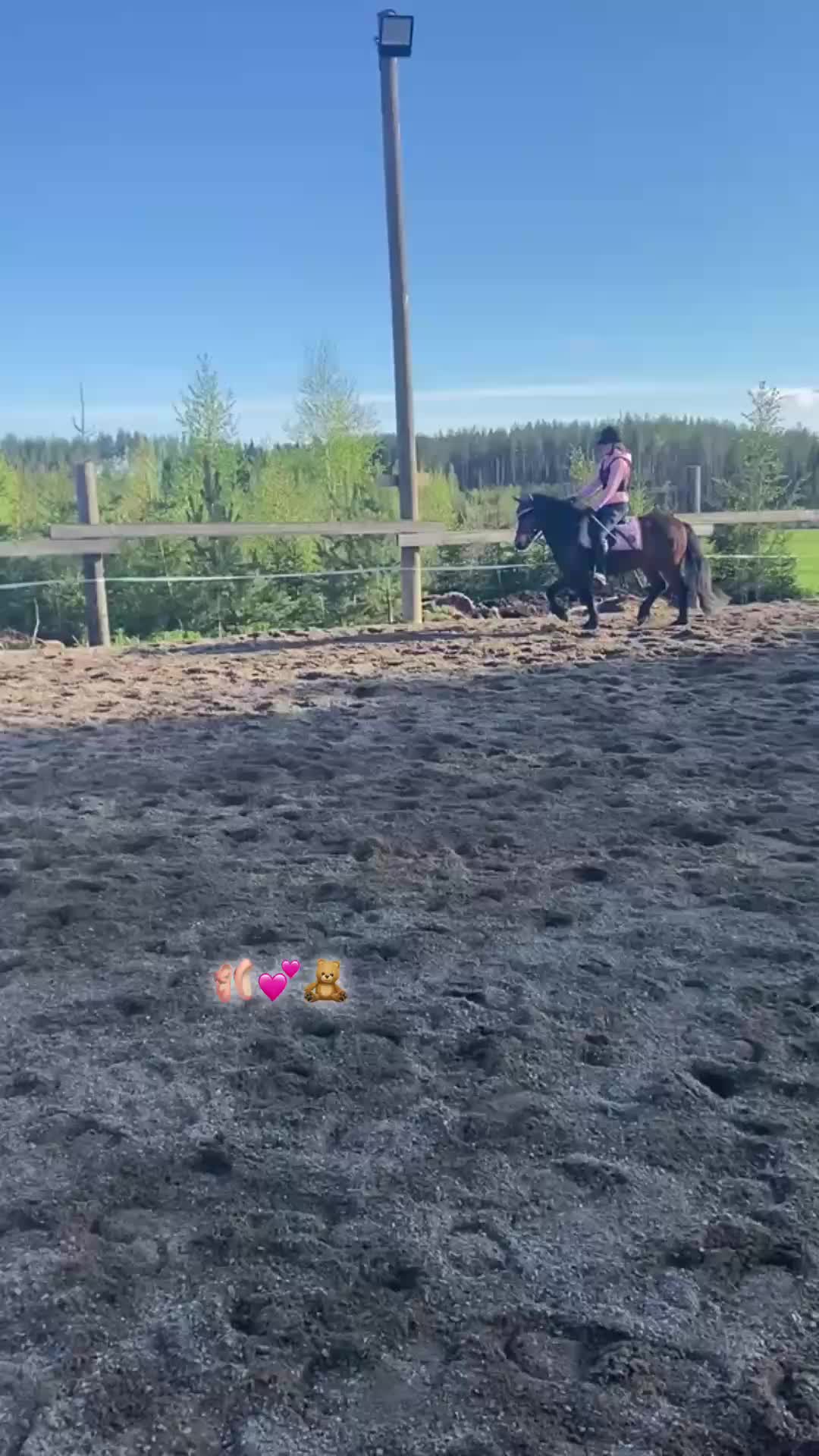 @Ponirannan talli🇫🇮🐎