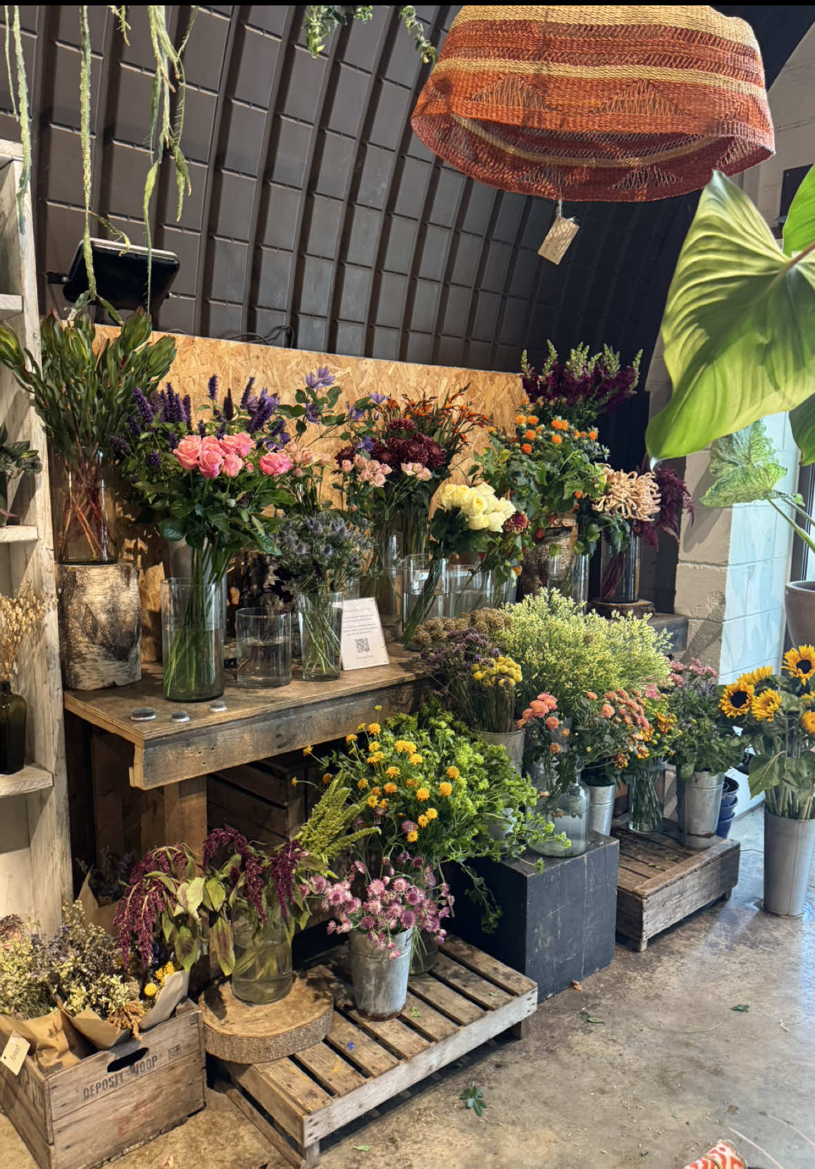 @Jashel Nelson