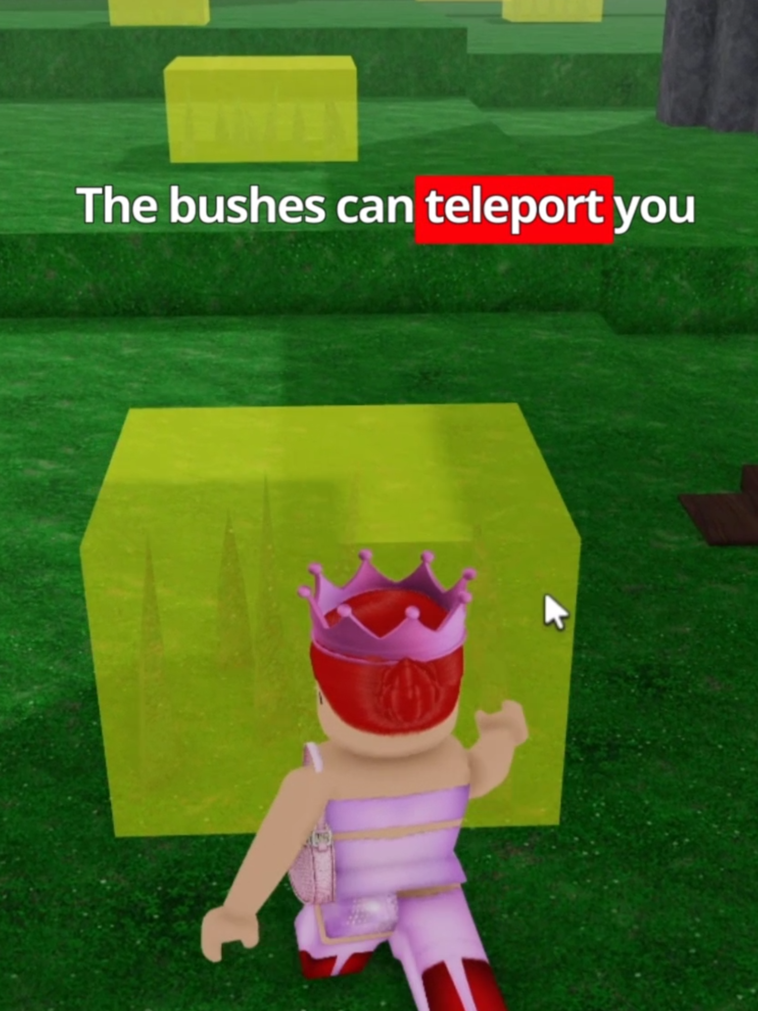 @SiriTheRealQueen