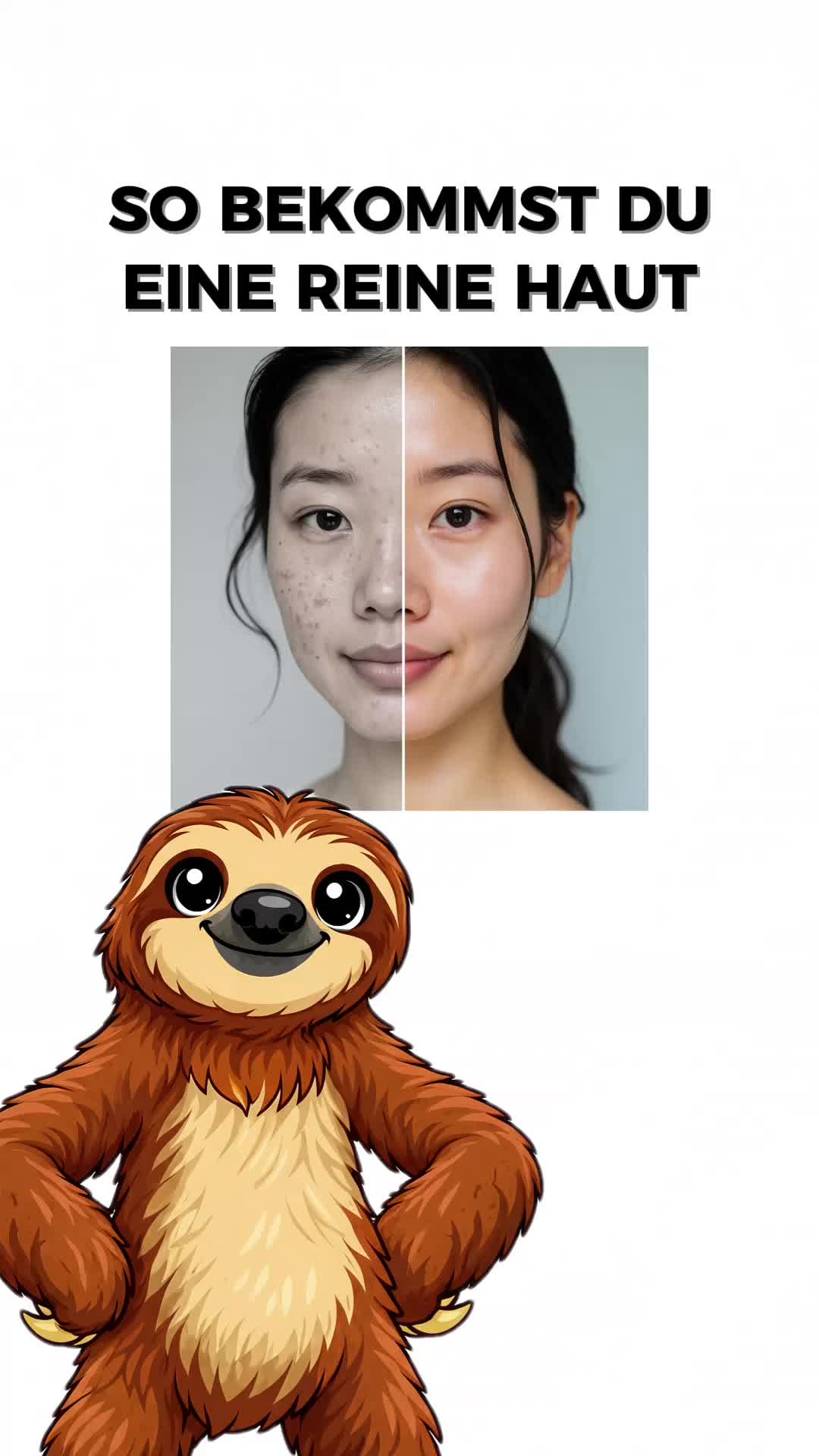 @FaultierFakten 🦥