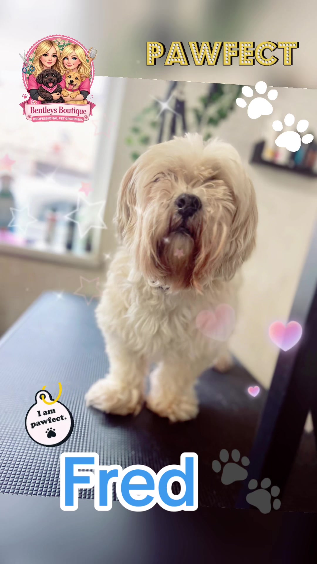 @Bentleys Boutique Pet Groomers