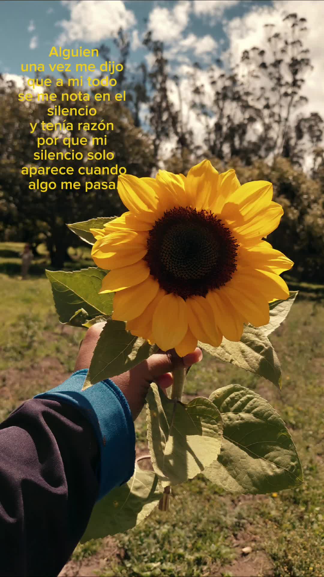 @J E N I F F E R