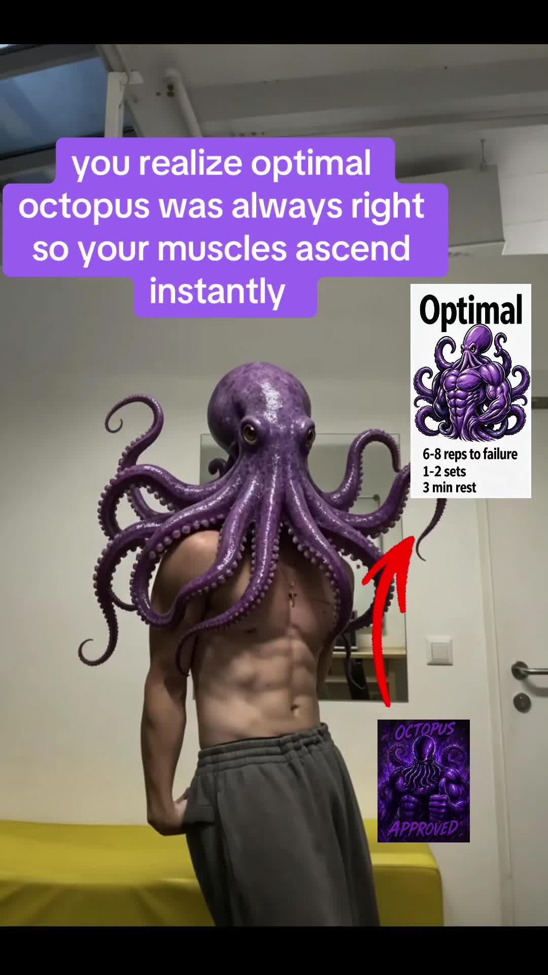 @Optimal Octopus