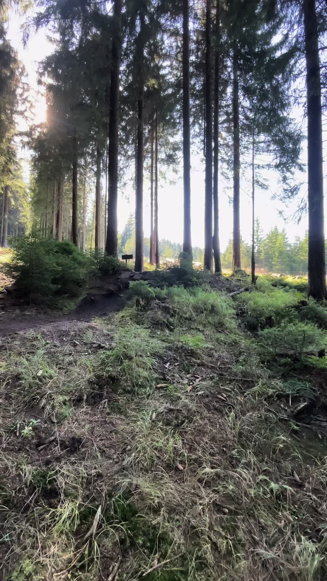 @jannesjaepel