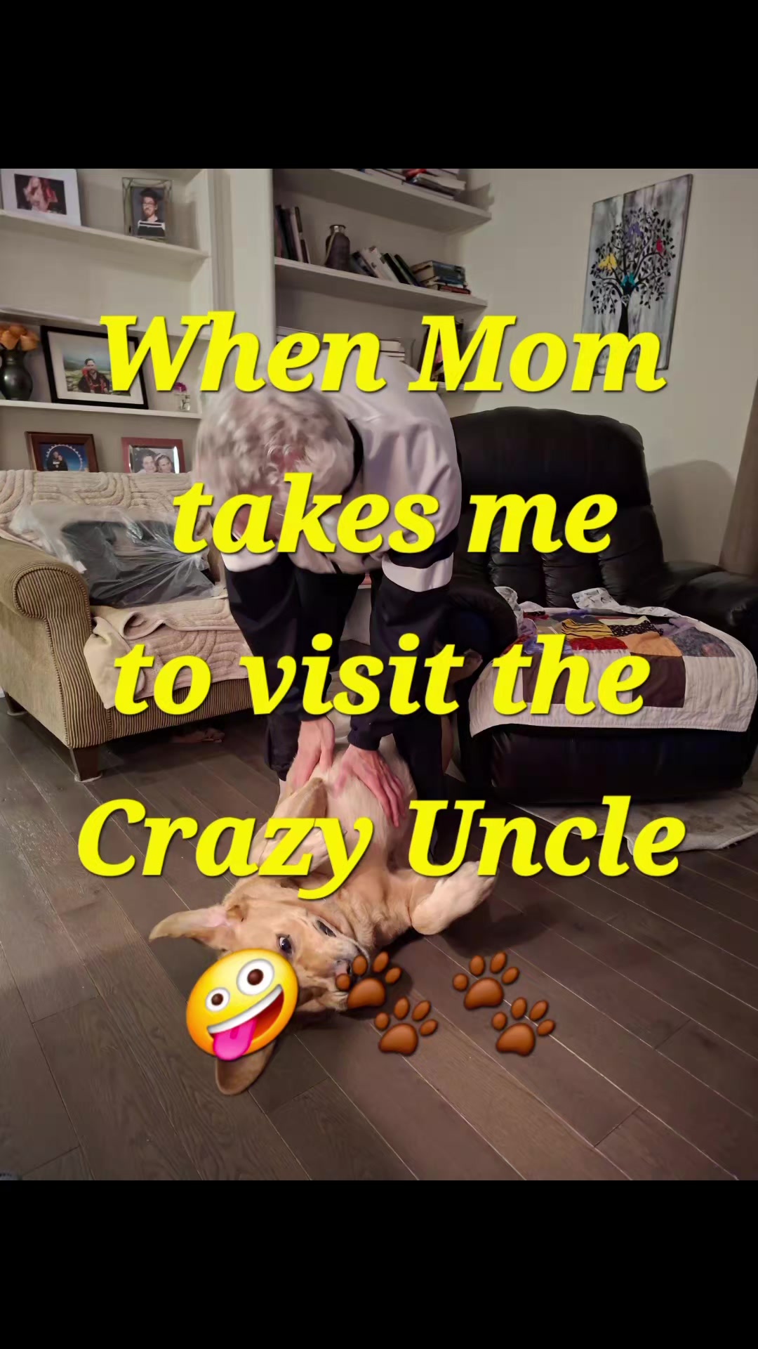 @Dogmom