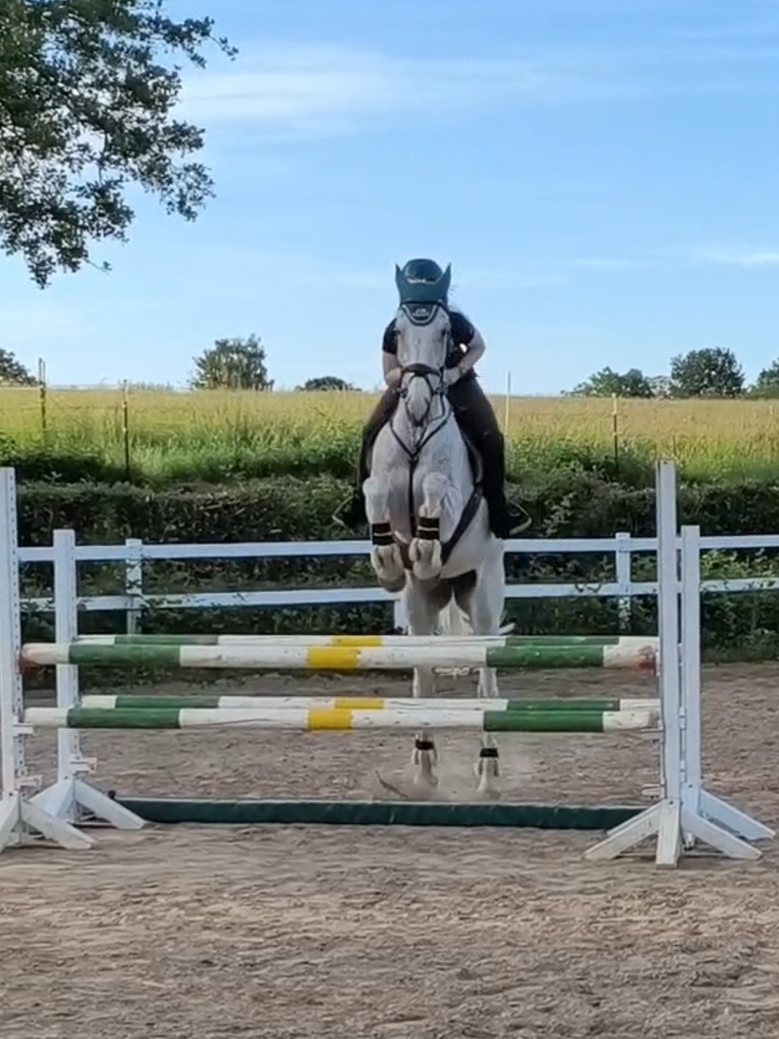 @Spring"Pony"Casha