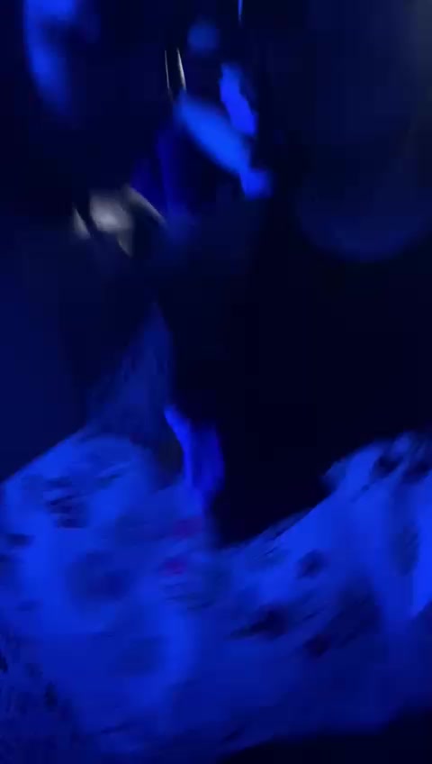 @Bianca Damaceno