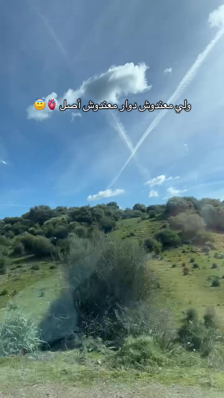 @ritadjmouhamdatni