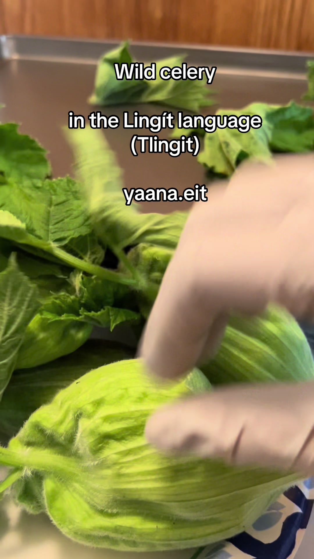 @Yéilk’