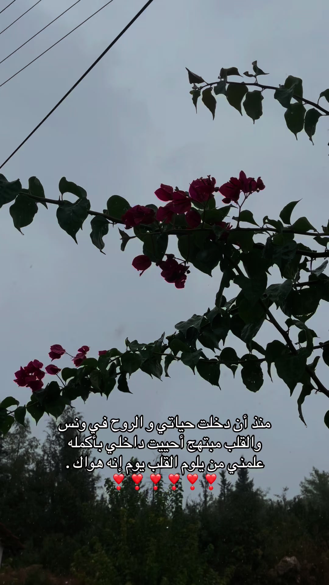 @Rαყαɳ┃ريـ🪽🖤ـان