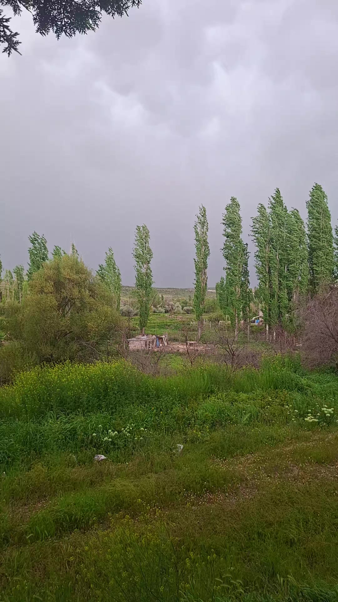 @Erkan
