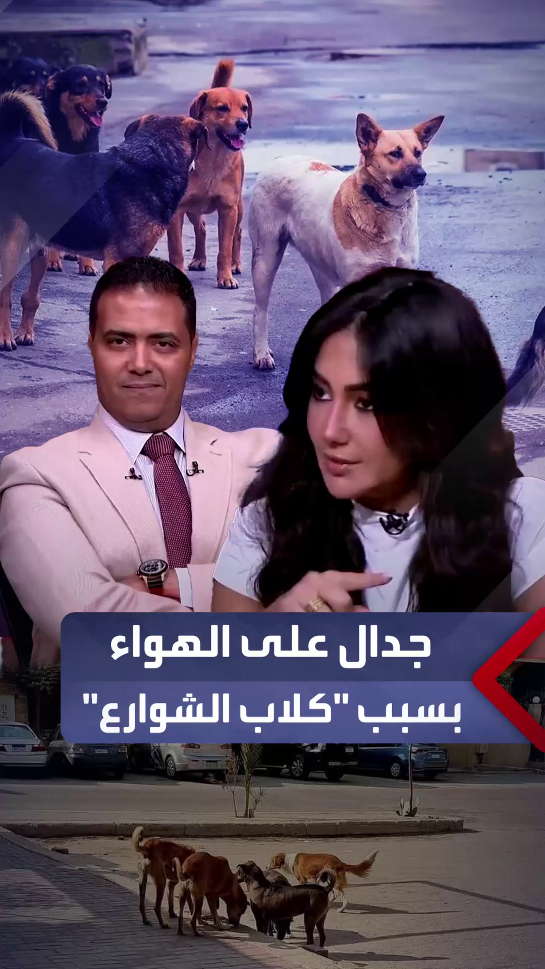 @العربية مصر - AlArabiya Egypt