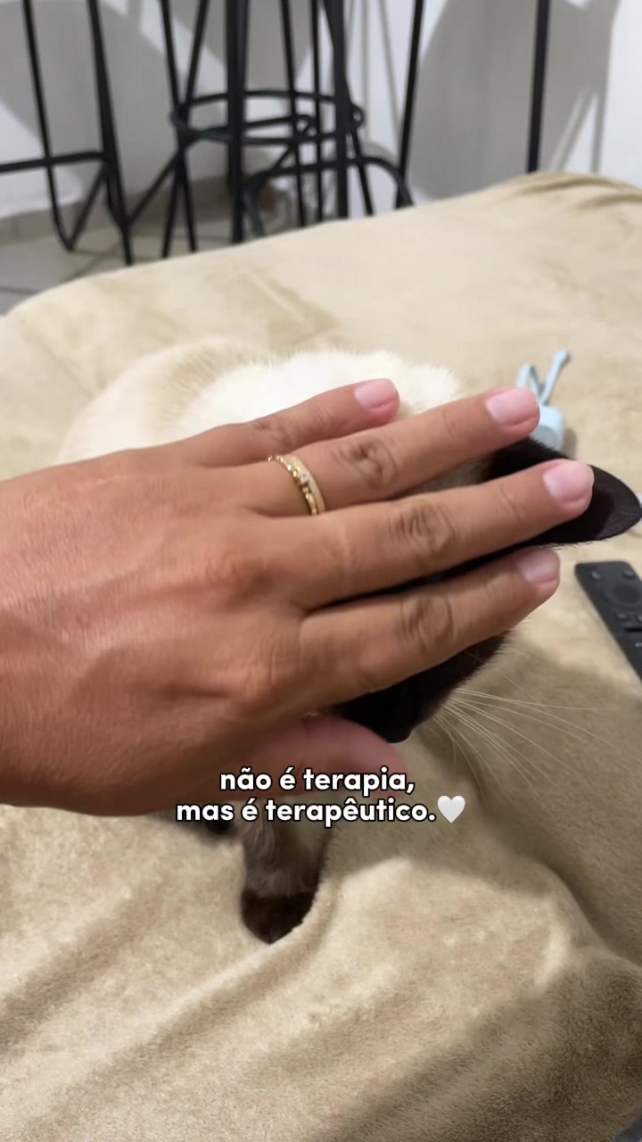 @RachelNogueira 🌻