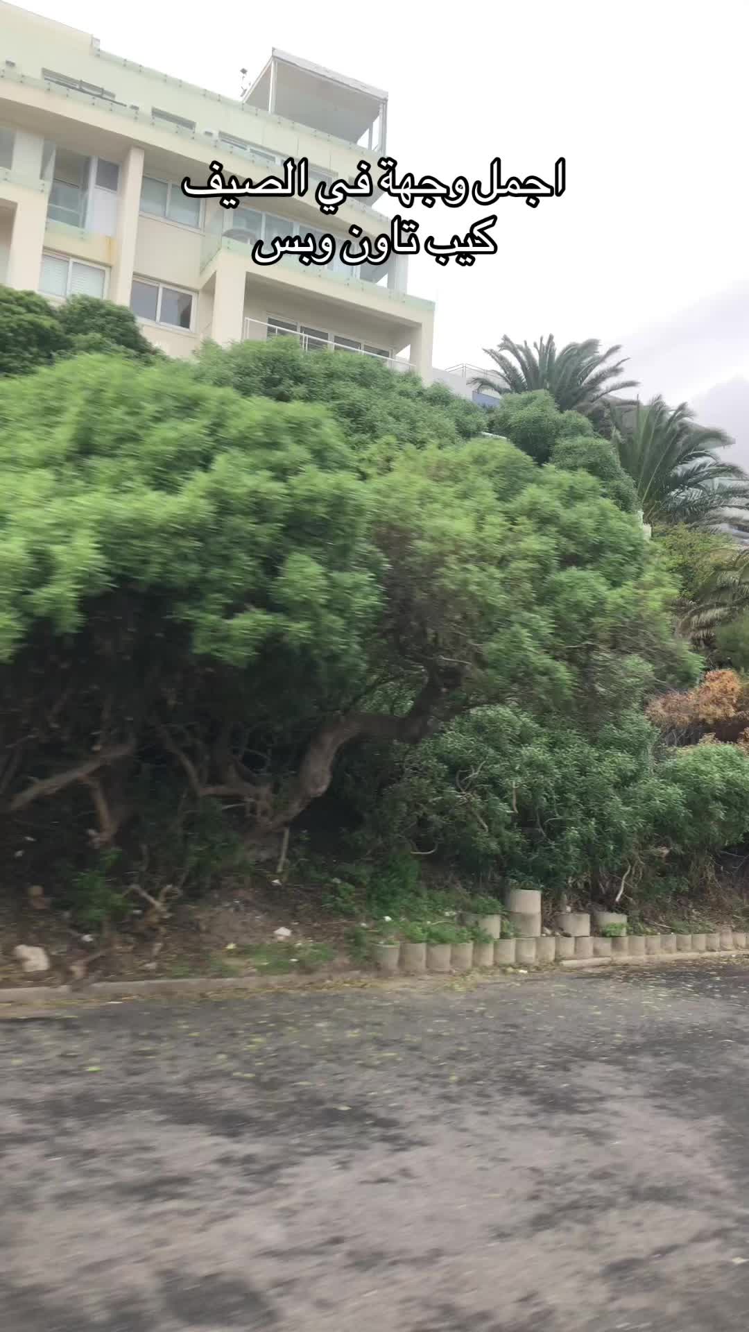 @بعثرة مسافر🇸🇦🇨🇭🇫🇷🇳🇴