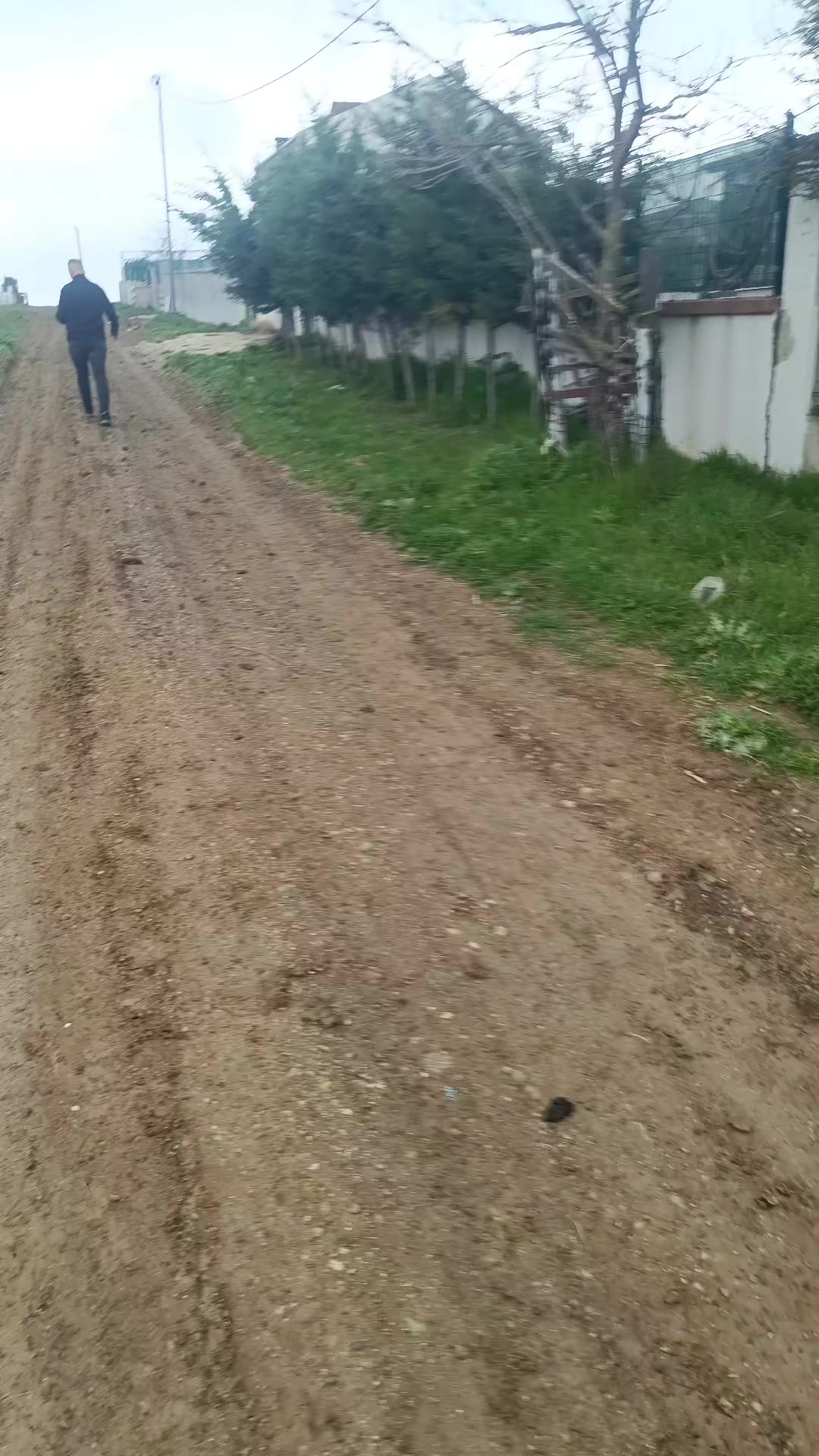 @Dünyaemlak46