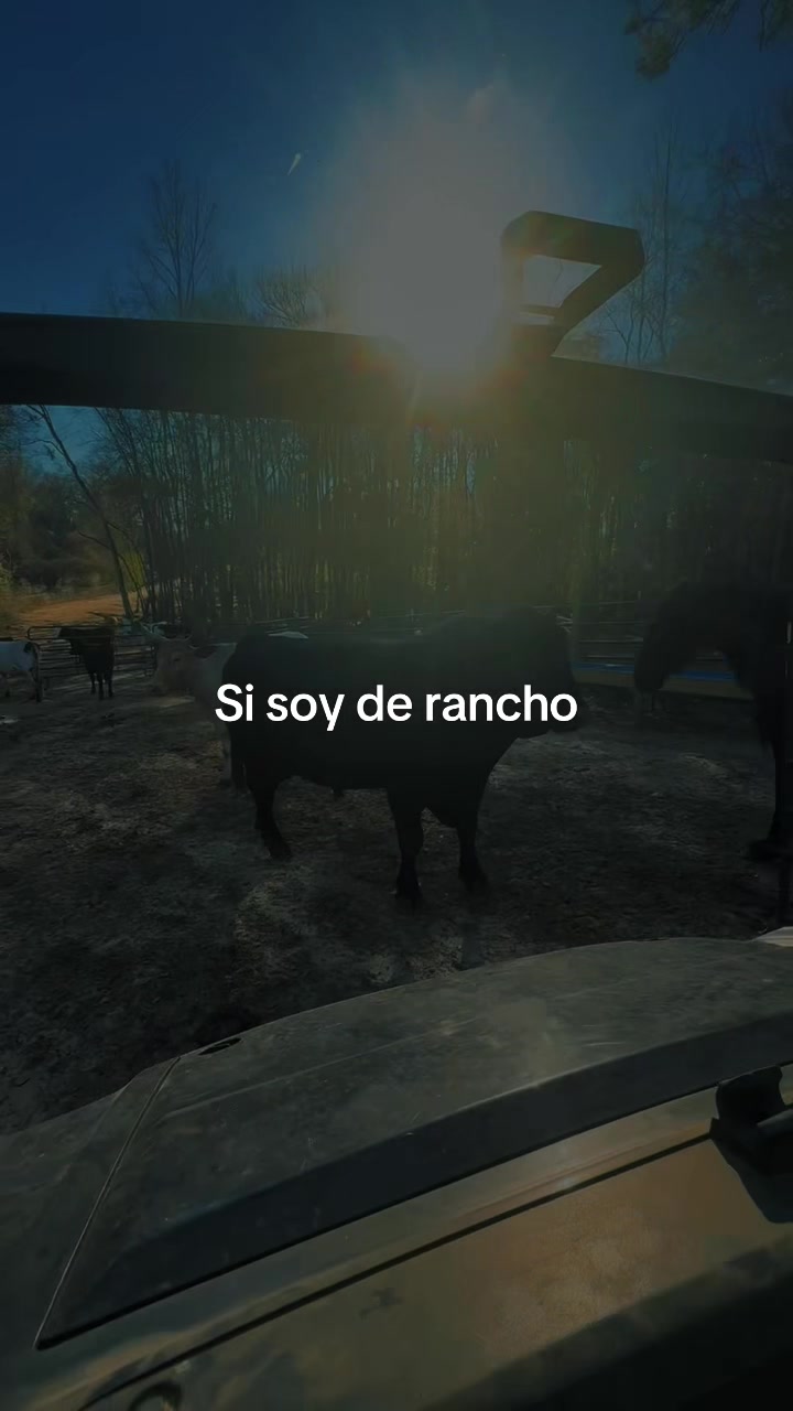 @peke