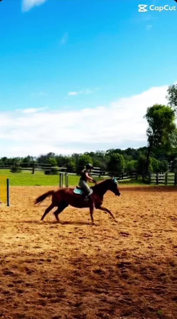 @keria_🌻🏇🏽💕