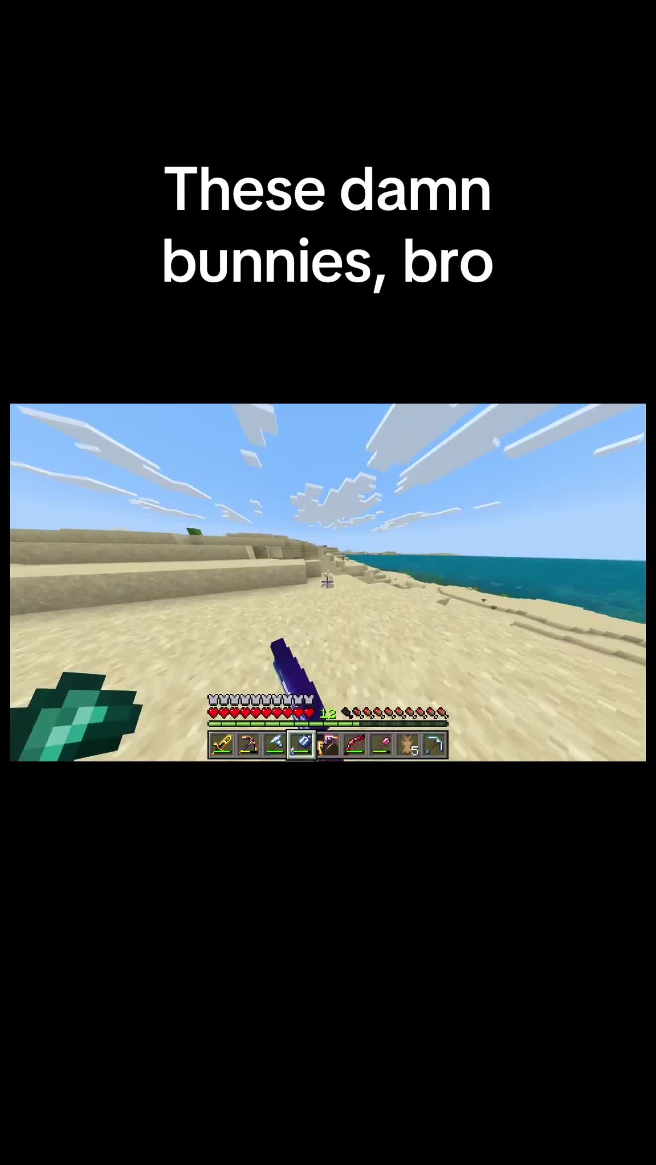 @V1 shrimp version