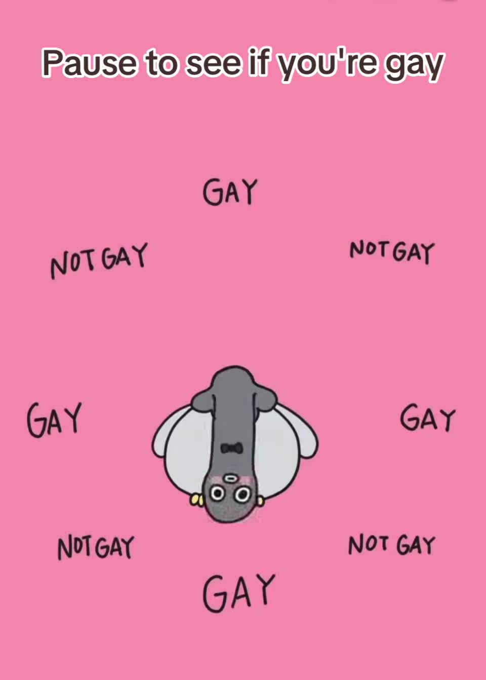 @Ian Slattery