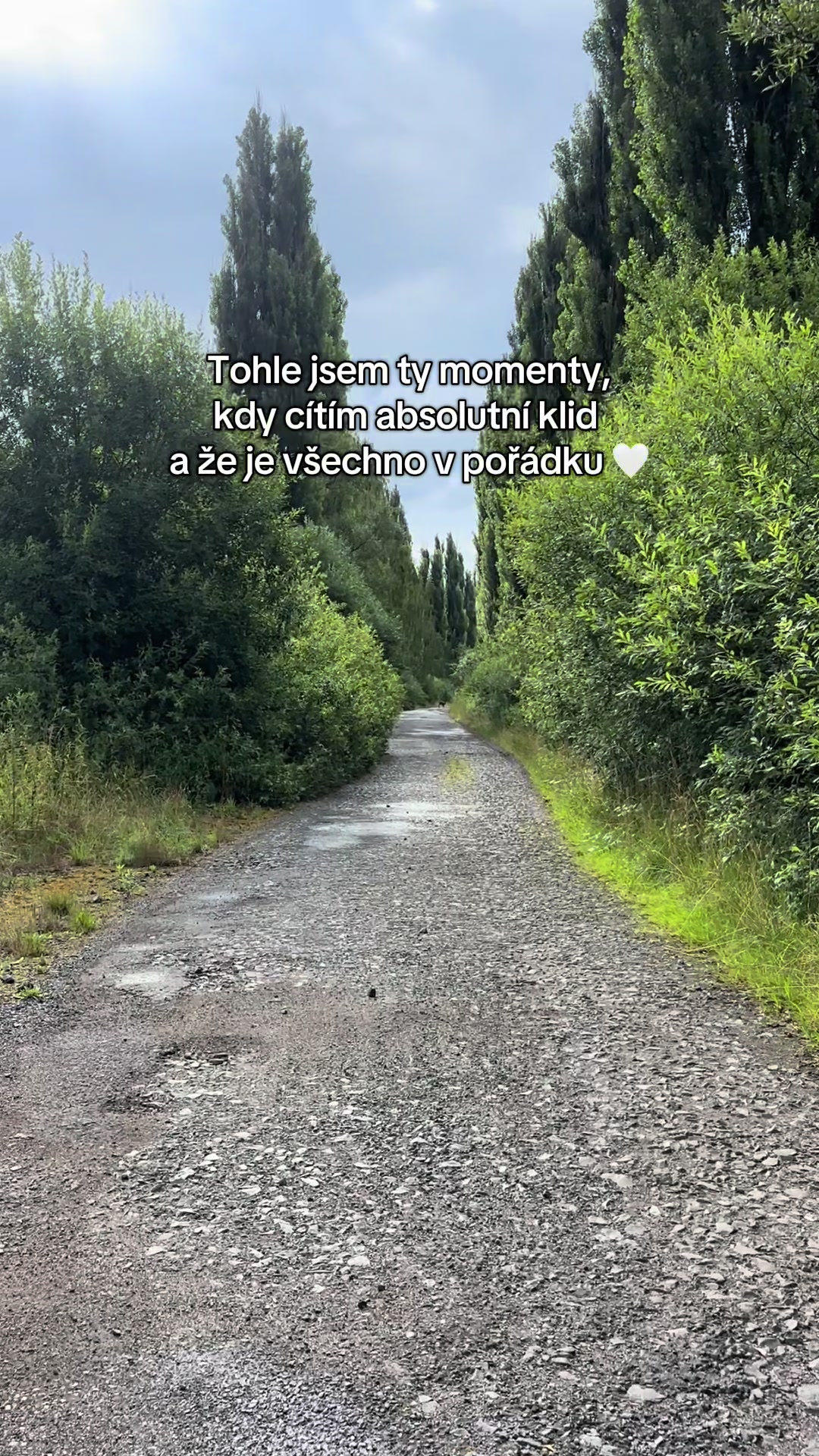 @pavlisima