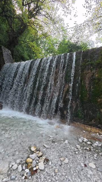 @doraz_tiktok