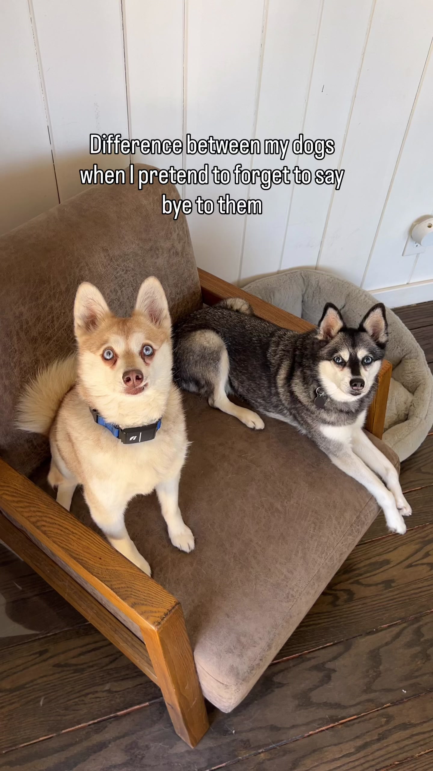 @lifewithkleekai