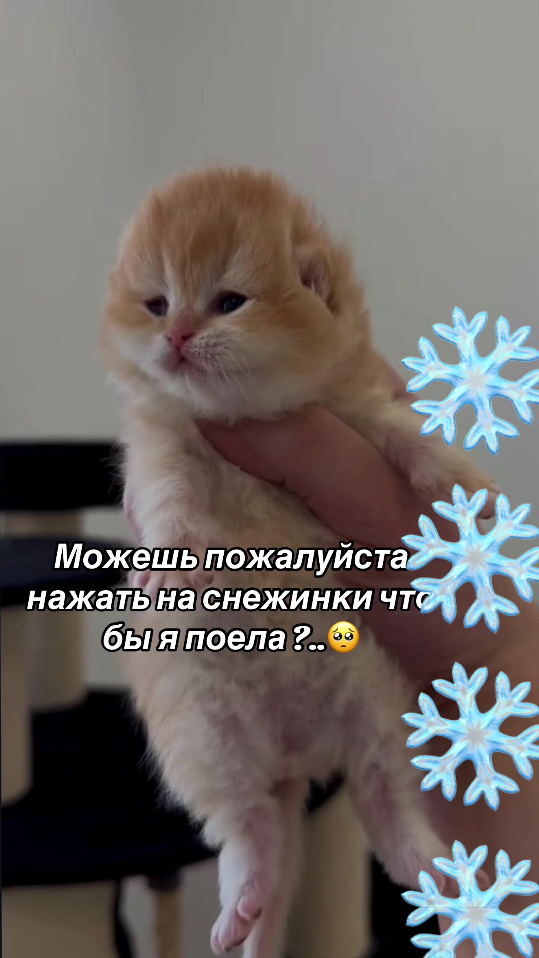 @kaboompriut