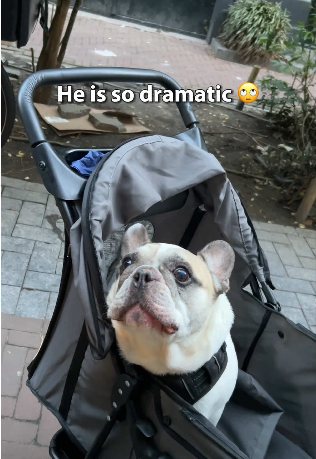 @Sunny 🐶
