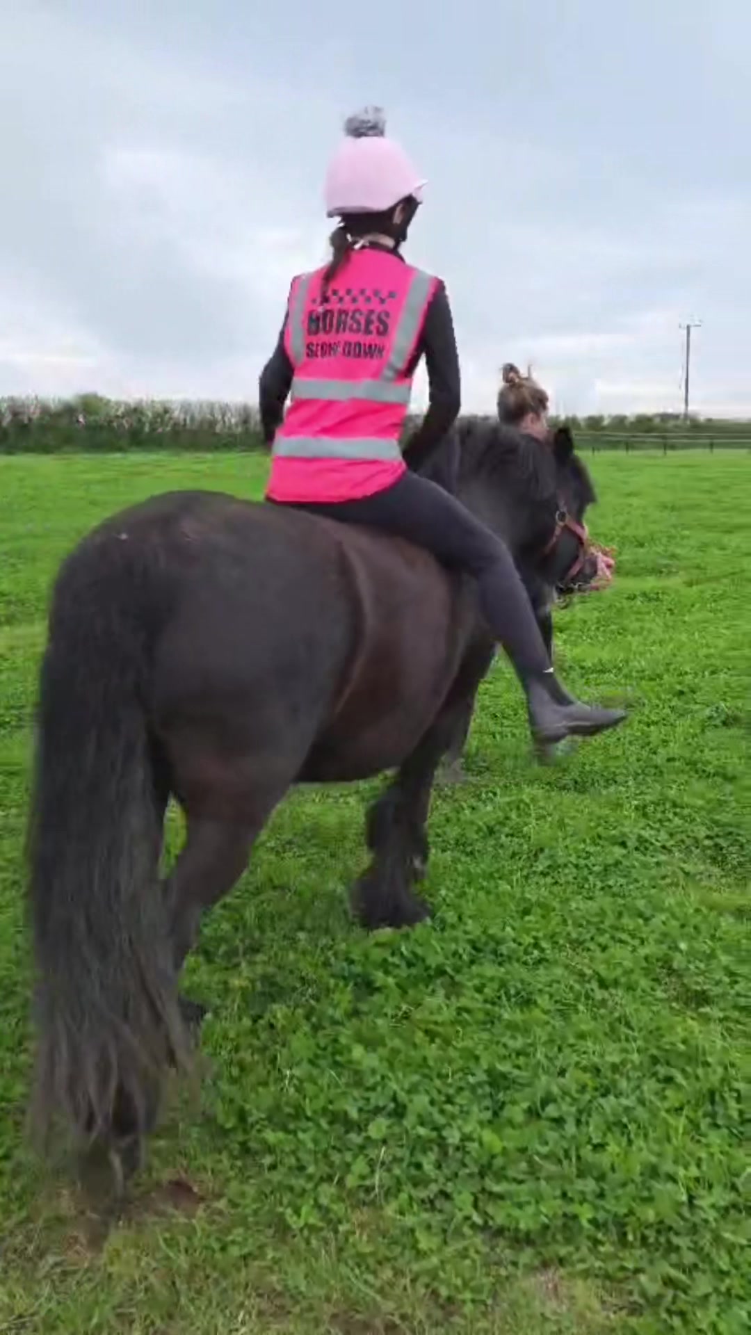@horsetiktoc
