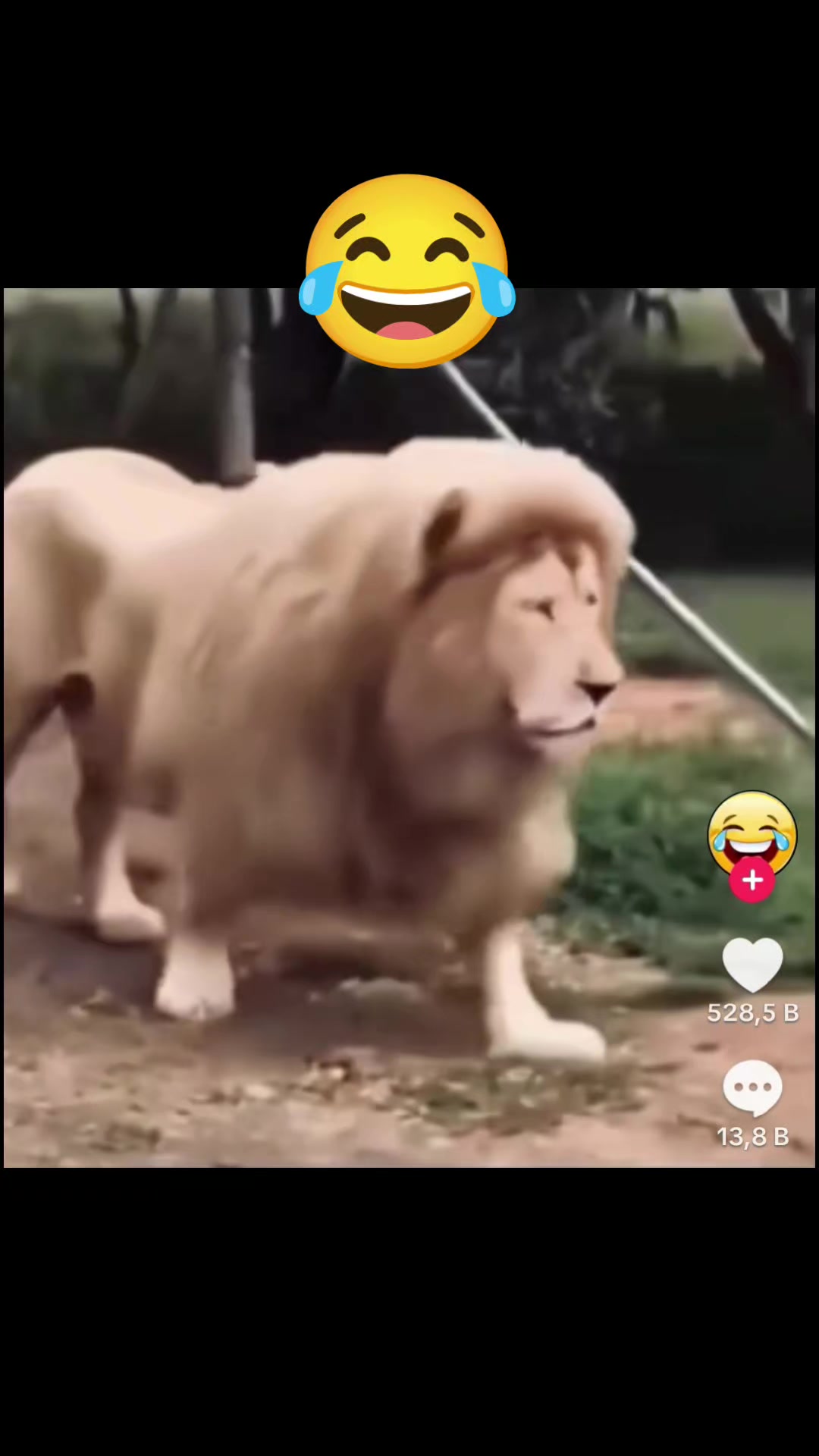 @Kömür Gözlüm