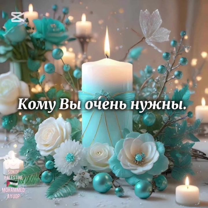 @Polli
