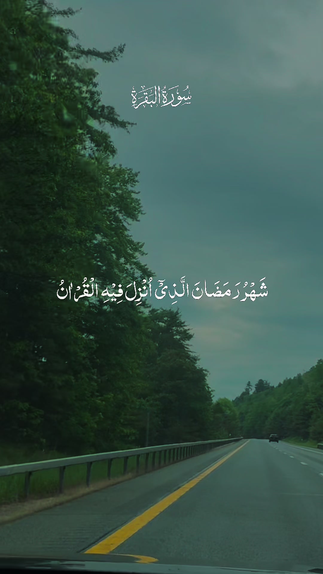 @Rayhan Miah