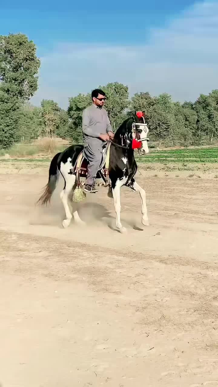 @Malik Ali Abbas Saggu🔥