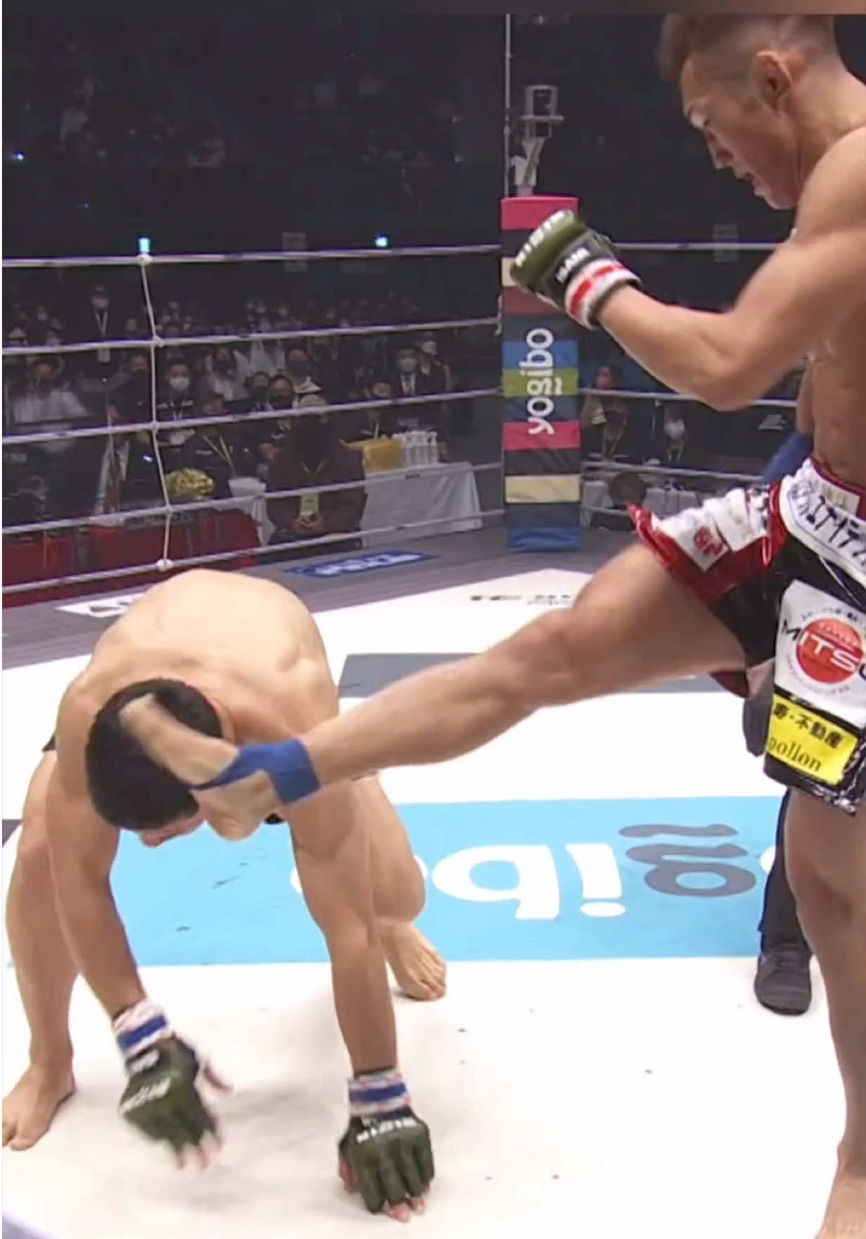 @FightingLab