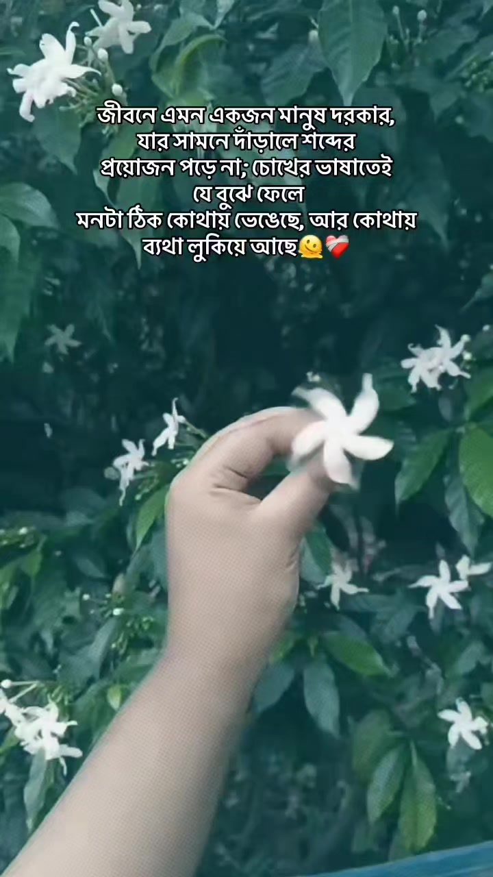 @🌺🌿🌺 Jerin 🌺🌿🌺