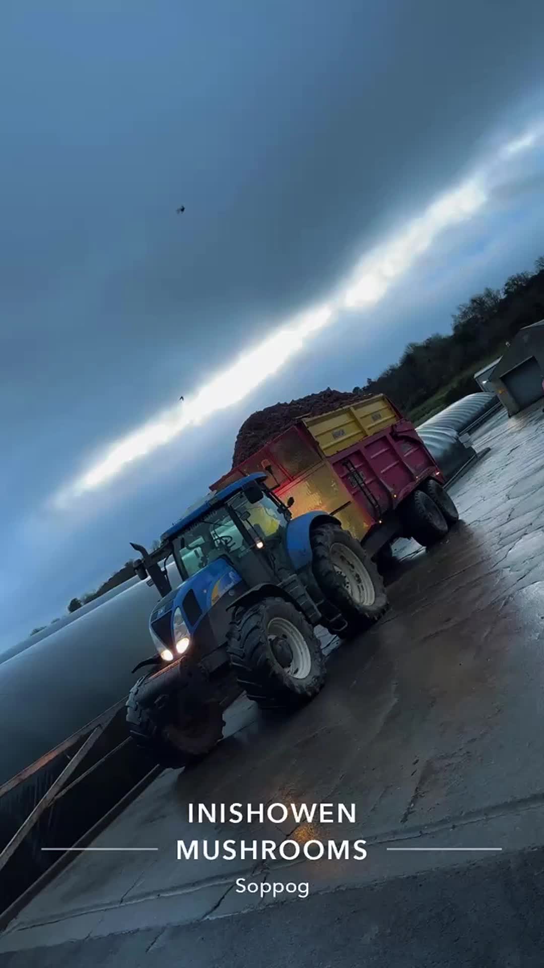 @Alan™️1️⃣6️⃣5️⃣